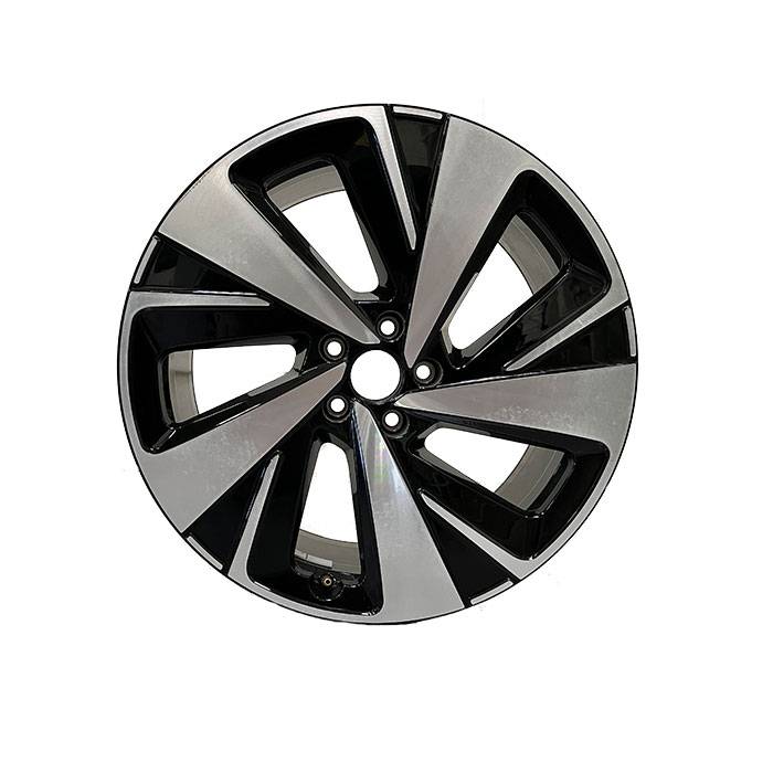 Rim-1